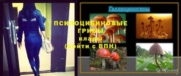 амф Нефтегорск